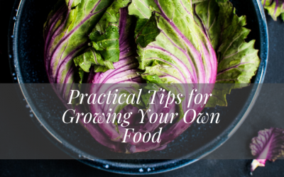 Practical Tips for Growing Your Own Food