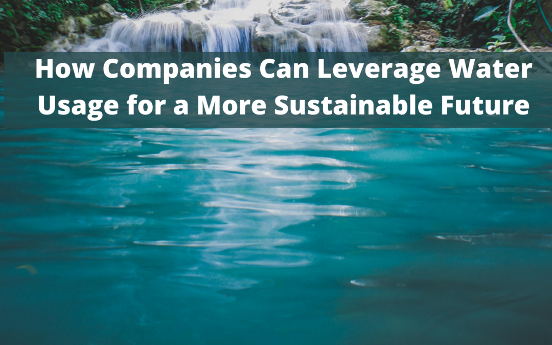 How Companies Can Leverage Water Usage for a More Sustainable Future