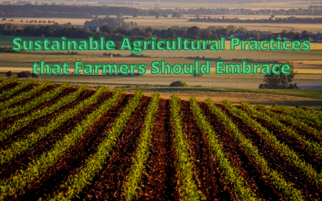 Sustainable Agricultural Practices that Farmers Should Embrace