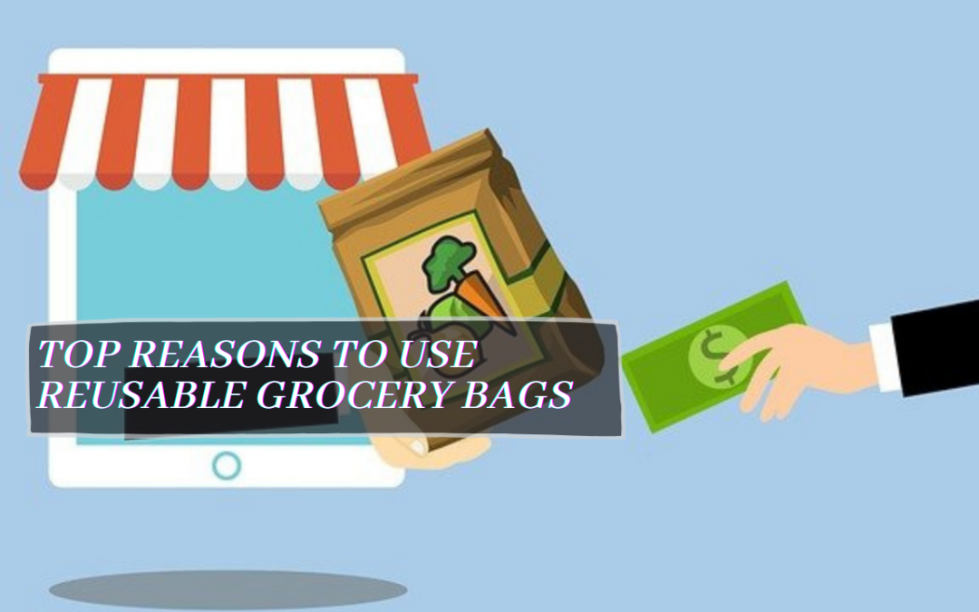 Top Reasons to Use Reusable Grocery Bags