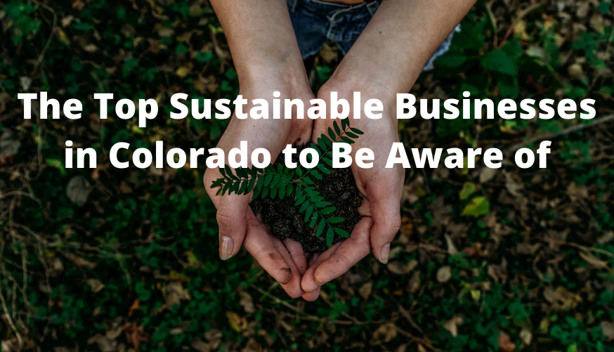 The Top Sustainable Businesses in Colorado to Be Aware of