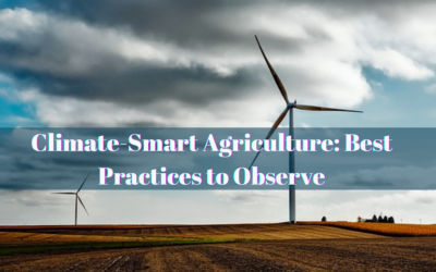 Climate-Smart Agriculture: Best Practices to Observe