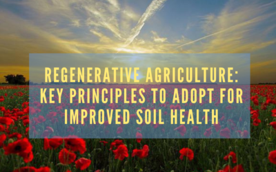 Regenerative Agriculture: Key Principles to Adopt for Improved Soil Health