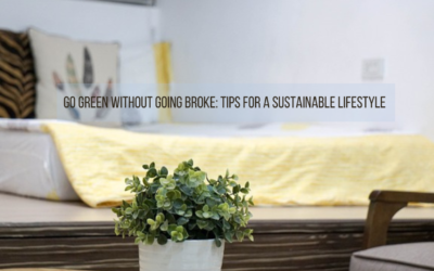 Go Green Without Going Broke: Tips for a Sustainable Lifestyle