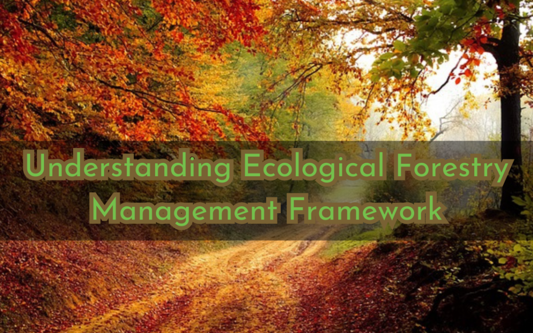 Understanding Ecological Forestry Management Framework