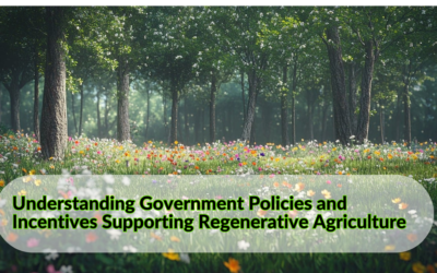 Understanding Government Policies and Incentives Supporting Regenerative Agriculture