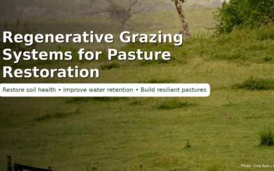 Regenerative Grazing Systems: How to Restore Pastures, Improve Soil Health, and Build Resilient Farms